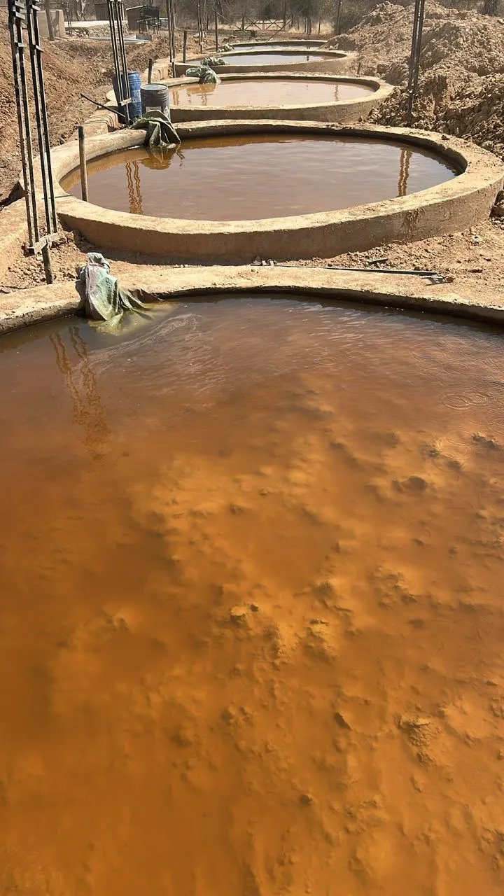 Leach vats, first batch, Msesule, September 2026.