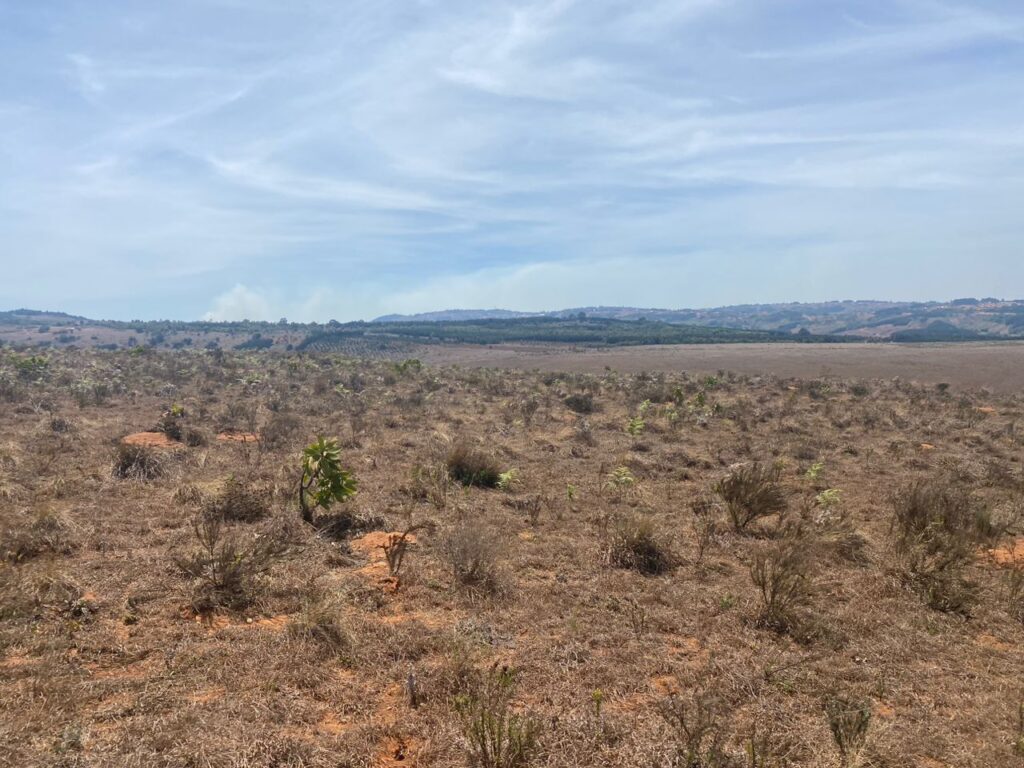 Nature Tanzanie